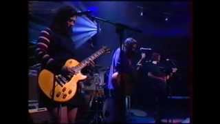 the breeders  cannonball  live  1993 [upl. by Cormick]