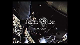 JAYCOP  Alte Bilder Official Video [upl. by Milzie]