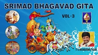 Chapter 17  Sraddhatraya Vibhaga Yogam  Srimad Bhagavad Gita  By T S Ranganathan [upl. by Anirehtac]