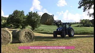 Focus sulle aziende agricole delle Marche [upl. by Hanad]