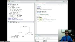 DSO 530 Decision Trees in R Regression [upl. by Aidnis54]