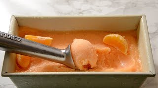 How to Make a Delicious Sorbet no ice cream maker needed  Jenny Lynne [upl. by Tips245]