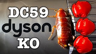 Dyson DC59 Giant Chernobyl Cockroach Killer Stick Vacuum [upl. by Slotnick583]