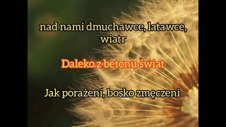 Urszula  Dmuchawce latawce wiatr tekst [upl. by Tahp]