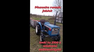 piosenka Rwanie jabłek Iseki tu 2100 z wózków sadowniczych [upl. by Fagen733]