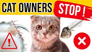 Cat Owners Stop Making These 8 Mistakes [upl. by Yelahc]