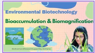 Bioaccumulation and Biomagnification Difference [upl. by Fink]