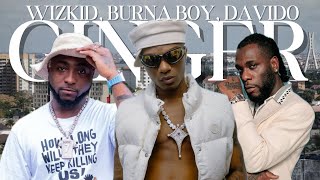 WIZKID FT DAVIDO AND BURNA BOY “GINGER” Fan made [upl. by Gautea642]