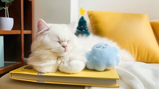 Ultimate Sleep Aid for Anxious Kittens  Helps Your Cat Sleep Well Calming Aid for Relaxation [upl. by Ylyl349]