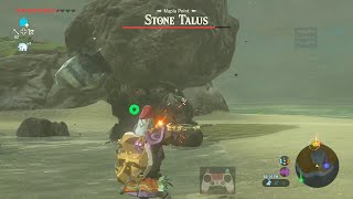 บอส Zelda BotW  Stone Talus SW Pond แห่ง Mapla Point Hateno [upl. by Ennasor]