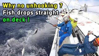 No need to unhook The secret to fishing tuna at lightning speed [upl. by Aver308]