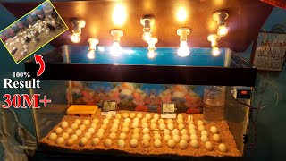 CHICKS HATCHING IN GLASS CONTAINER  BEST INCUBATOR FOR CHICKEN EGGS  DIY  YOU CAN DO THIS [upl. by Sasha]