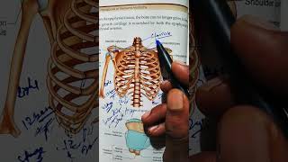 collar bone is anatomy shorts viralvideo doctor physiotharapist [upl. by Whall461]