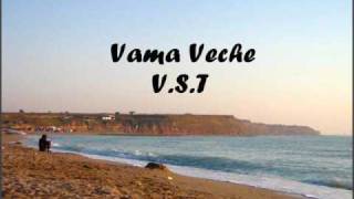 VST  Vama Veche [upl. by Hsreh]