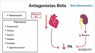 Antagonistas alfa y beta adrenérgicos  Farmacología [upl. by Kristos]