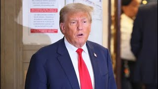 Trump goes FULL DESPERATION in panicked move in DC court [upl. by Rhiamon911]