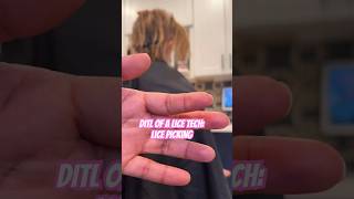 Lice removal services l lice picking l small business explore lice hair shorts [upl. by Ovid488]