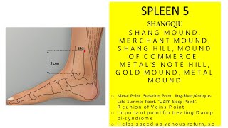 SPLEEN 5 SHANGQIU SHANG MOUND MERCHANT MOUND SHANG HILL MOUND OF COMMERCE METALS NOTE HILL [upl. by Radborne]