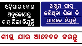 Odisha latest Govt job 2024 apply now 👇👇👇 job vacancy [upl. by Hornstein]