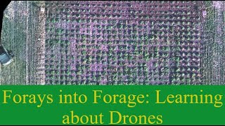 Using QGIS to Segment Orthomosaics and Extract Drone Data [upl. by Orva70]