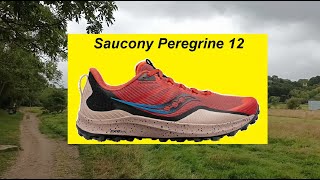 Saucony Peregrine 12 Reviewed and Tested on Multiterrain [upl. by Fermin644]