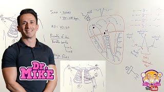 Understanding ECGs  From Placement to Interpretation [upl. by Notnyw]