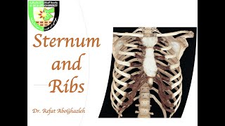 Sternum and Ribs [upl. by Coray]