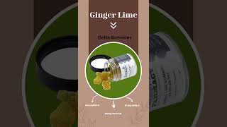 ʜᴇᴍᴘᴅᴇʀɪᴠᴇᴅ Ginger Lime Delta8 THC gummies slap organic delta8gummies [upl. by Etirugram]