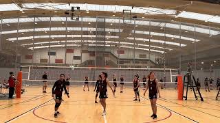 Selwyn College vs Baradene College  Auckland Champs Volleyball  Day 1  15112023 [upl. by Ijar]