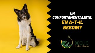 Votre chien atil besoin de voir un comportementaliste canin [upl. by Ailahs]