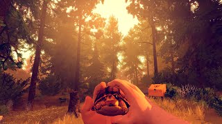 Firewatch  Live Stream  Sub  Like [upl. by Goldman]