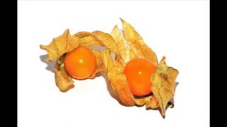 Physalis Fruit amp its health Benefits [upl. by Llednar]