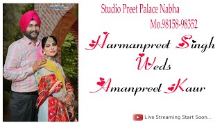 Harmanpreet Singh Sidhu Weds Amanpreet Kaur  Live 28124 Studio Preet palace Mo9815898352 [upl. by Karli]