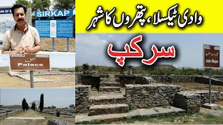 Sirkap I Taxila I City of Stones I Taxila Tales 1I Archeological Treasure of Pakistan I Gilani Logs [upl. by Asher]