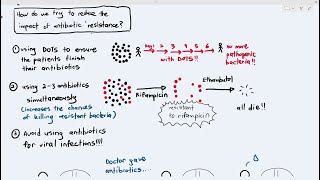 109 Impact of Antibiotic Resistance and How to Reduce it Cambridge AS A Level Biology 9700 [upl. by Neelear499]