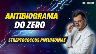 Dominando Antibiogramas do Zero  Streptococcus pneumoniae [upl. by Thun418]