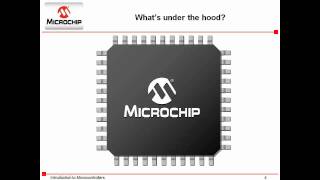 pic microcontroller [upl. by Winfield187]