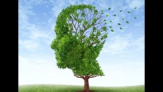 Neurologist Discusses Dementia Basics and Treatment [upl. by Nevaj]