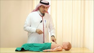 Pediatric Cardiovascular Assessment Physical Examination  Dr Zaher Faisal Zaher [upl. by Kcirde]