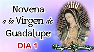 Primer día de la Novena a la Virgen de Guadalupe Domingo 3 de Diciembre 2023 💖Virgen de Guadalupe💖 [upl. by Oelak]