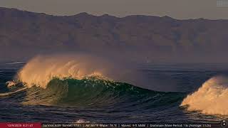 Dec 9 2023 Big Wave Surfing at Historic Waimea Bay HI [upl. by Ahsemac491]