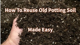 How To Reuse Potting Soil Made Easy [upl. by Damali]