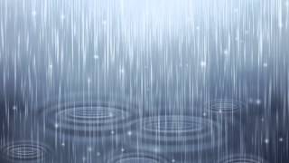 Nature Sounds Rain Sounds One Hour for Sleeping Sleep Aid for Everybody [upl. by Fromma500]