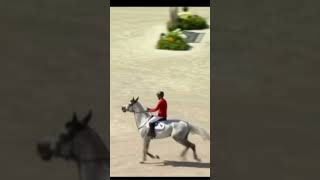 Deutschland der im Springreiten showjumping 2024olympics germanyforthewin germany ￼ [upl. by Burnside]