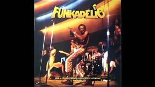 Funkadelic  Maggot Brain Live 1971 [upl. by Hama499]