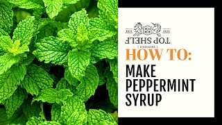 All About Peppermint  Young Living Essential Oils [upl. by Ayama]