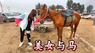 公馬盎格魯穩重老實，就連女孩子也隨便騎，騎馬可比騎車過癮 oddly satisfying 放鬆心情 清理驢蹄 清理馬蹄 修理驢蹄 [upl. by Akeryt]