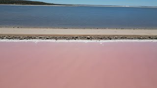 Nullarbor Day 1 Penong Windmills Point Sinclair amp The Pink Lakes [upl. by Lolande]