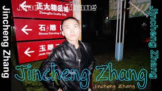 Jincheng Zhang  Conse I Love You Background Music Instrumental Song Official Audio [upl. by Id]