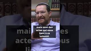 quotFaire Équipe avec Dieuquot  LEssence des Commandements selon le Maharal 🤲🌟 [upl. by Nedlog]